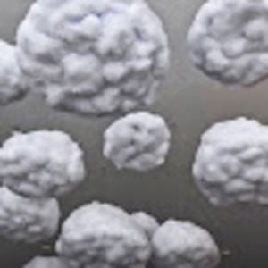 Meet your Posher, Arsh